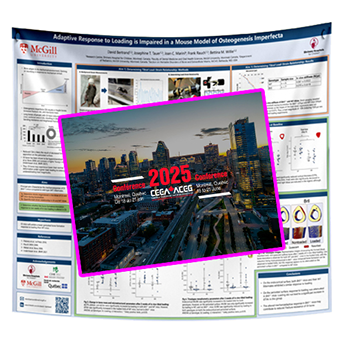 Cheapest CEEA Fabric / Paper Conference Poster Printing in Montreal 36x48 from $70