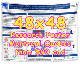 Cheapest Fabric/Paper Research Poster Montreal 48x48 Poster from $90